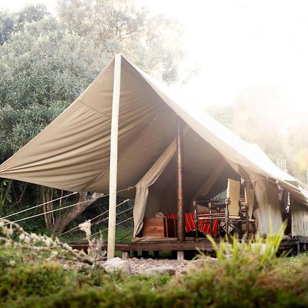 Quatermain'S 1920'S Safari Camp - Amakhala Vadrezervátum Kültér fotó