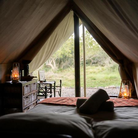Quatermain'S 1920'S Safari Camp - Amakhala Vadrezervátum Kültér fotó