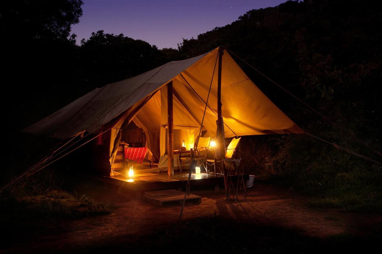 Quatermain'S 1920'S Safari Camp - Amakhala Vadrezervátum Kültér fotó