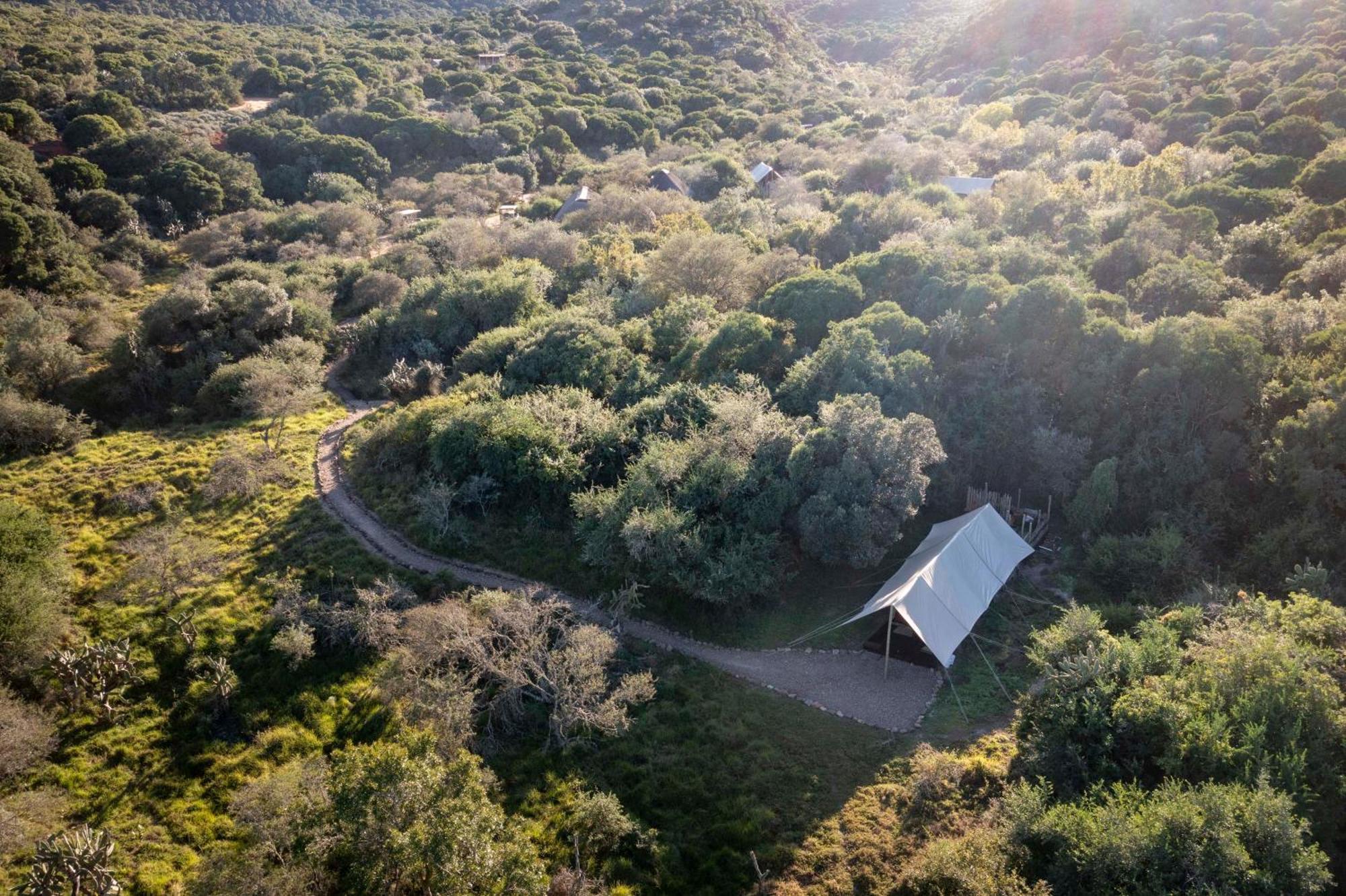 Quatermain'S 1920'S Safari Camp - Amakhala Vadrezervátum Kültér fotó