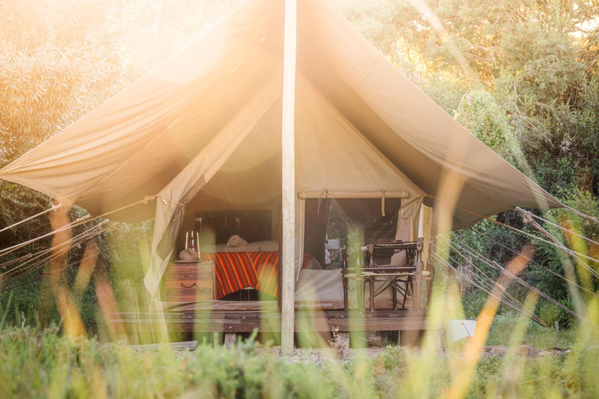 Quatermain'S 1920'S Safari Camp - Amakhala Vadrezervátum Kültér fotó