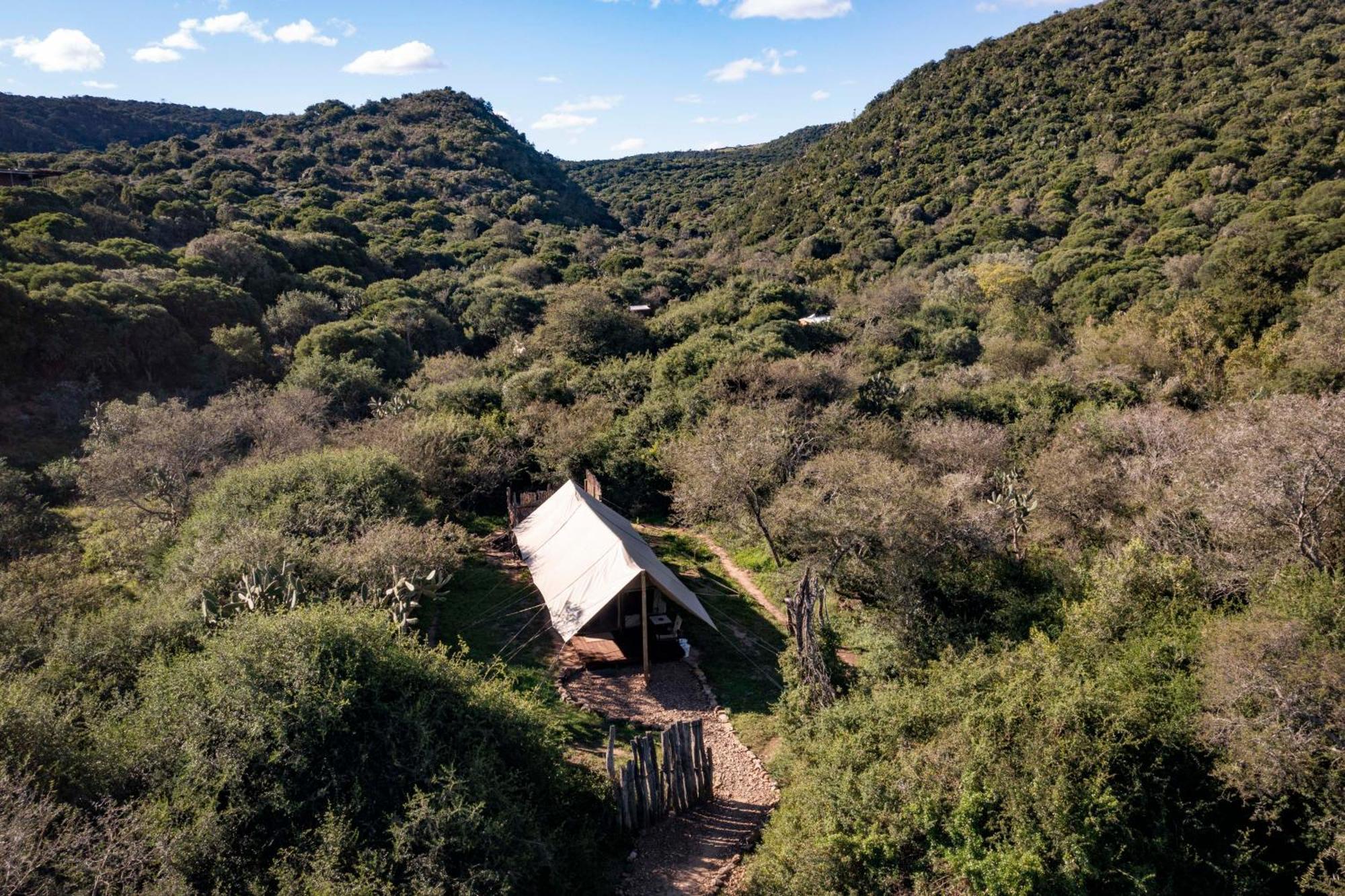 Quatermain'S 1920'S Safari Camp - Amakhala Vadrezervátum Kültér fotó